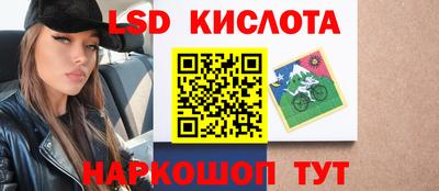 apvp Ярославль