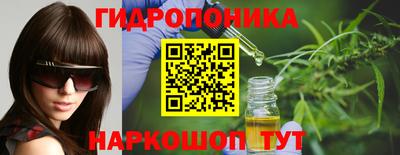 apvp Ярославль