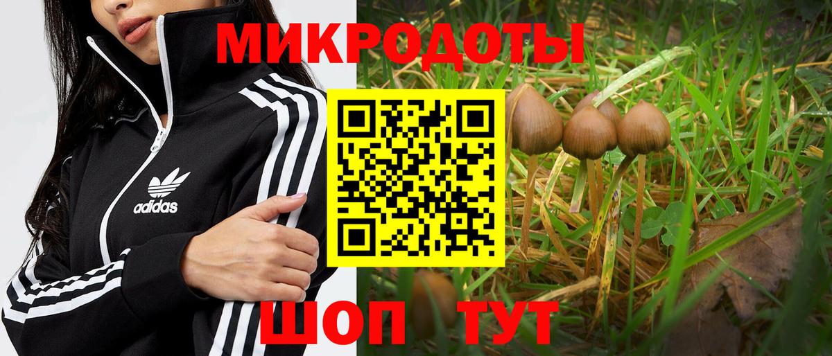 Петрозаводск  Псилоцибиновые грибы MAGIC MUSHROOMS  Вход с VPN 